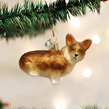 Pembroke Welsh Corgi