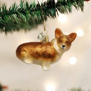 Pembroke Welsh Corgi